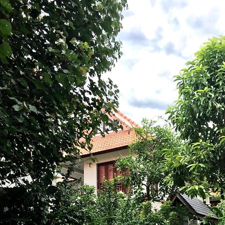 Pearl Paradise Villa Danang מראה חיצוני תמונה