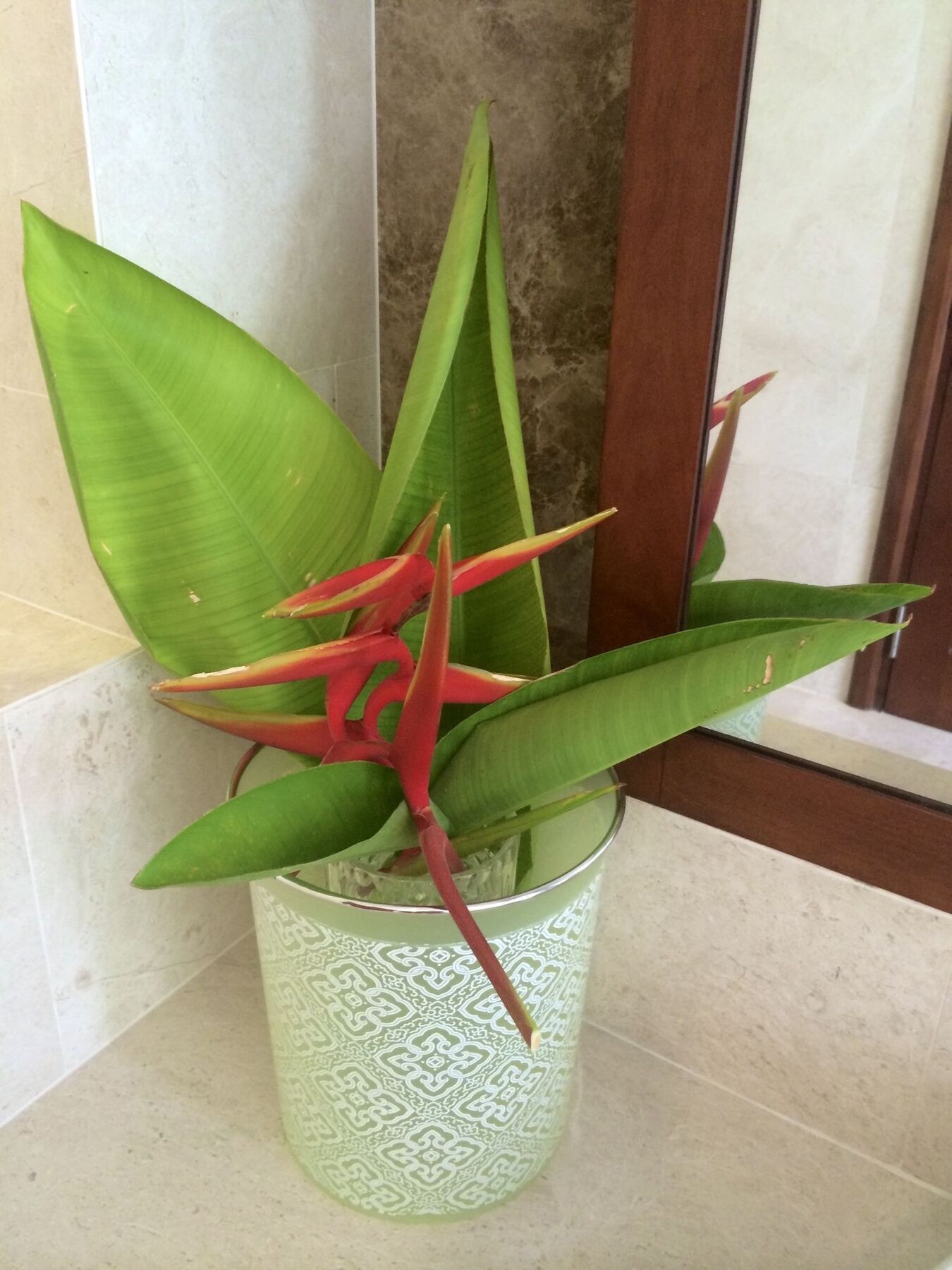 Pearl Paradise Villa Danang מראה חיצוני תמונה